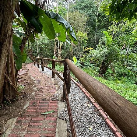 Vila Dos Passaros,Quarto 05 อิตาเปมา ภายนอก รูปภาพ